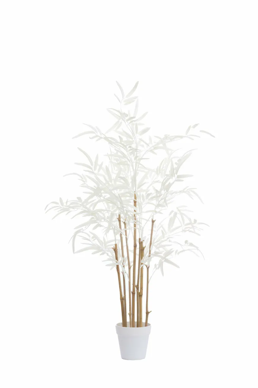 Light en Living Ornament in pot 70x60x90 cm BAMBOO naturel+crème