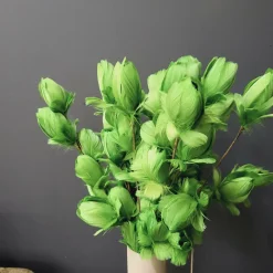 Light en Living Ornament 6 bloemen 90 cm TULIP groen