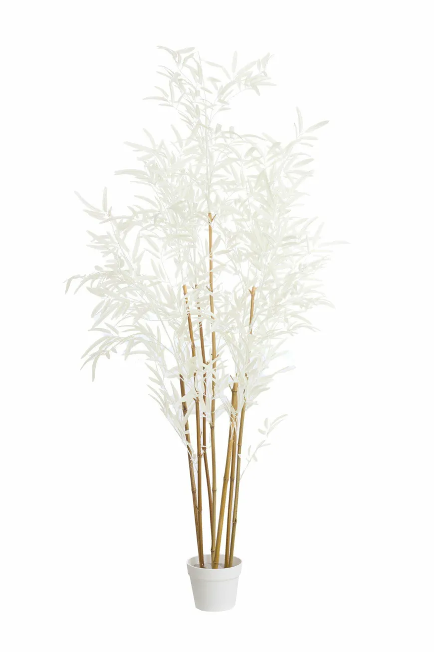 Light en Living Ornament in pot 70x60x150 cm BAMBOO naturel+crème