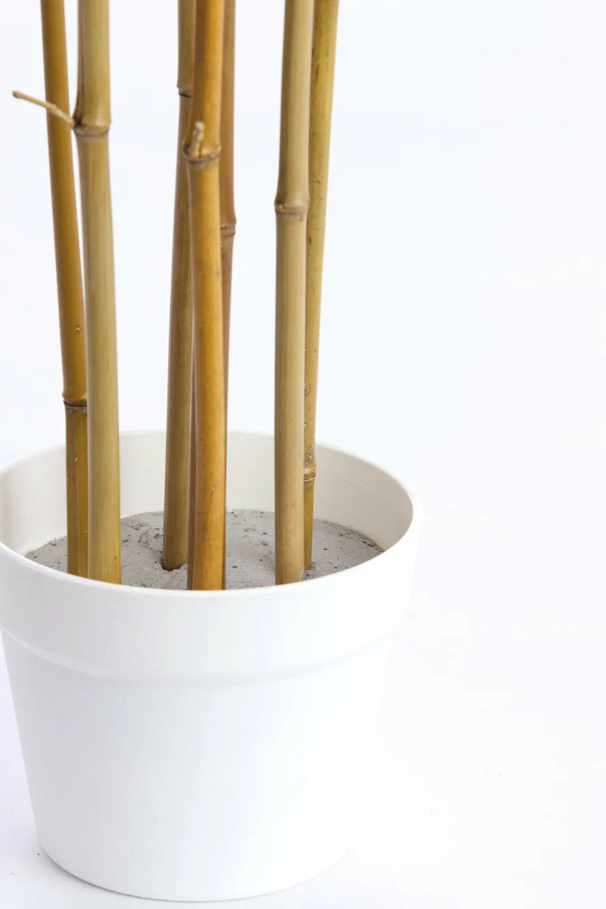 Light en Living Ornament in pot 70x60x150 cm BAMBOO naturel+crème