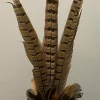 Light en Living Ornament Ø15x60 cm PHEASENT donker bruin