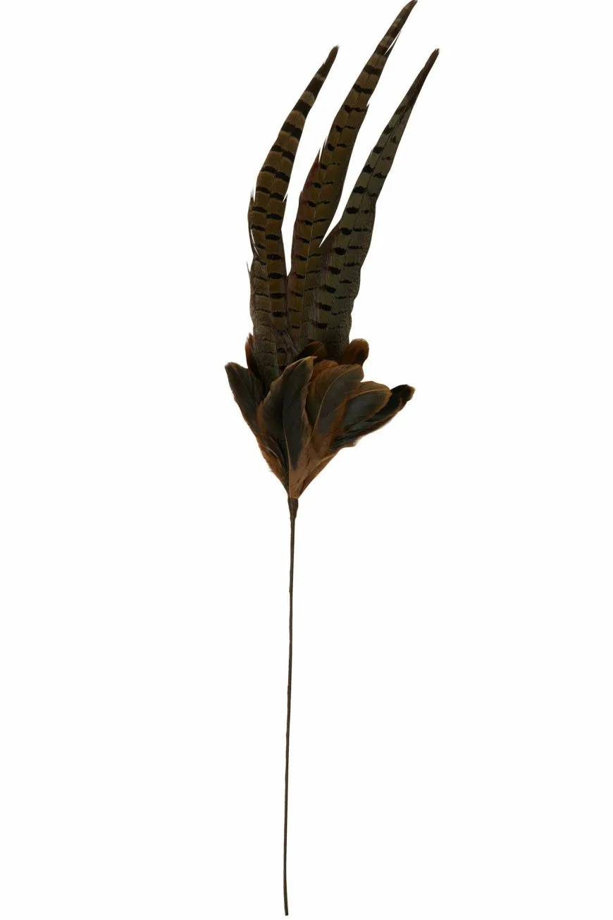 Light en Living Ornament Ø15x60 cm PHEASENT donker bruin