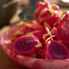 Light en Living Schaal Ø34x6 cm BELAWAN roze