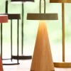 Light en Living Tafellamp LED Ø13x28,5 cm ANKENTA olijf groen+hout naturel