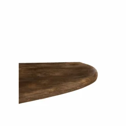 Light en Living Wandplank 49x15x3 cm GINOSU mat donker bruin