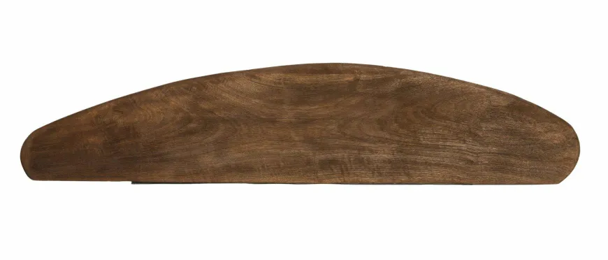Light en Living Wandplank 100x25x3 cm GINOSU mat donker bruin