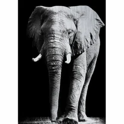MondiArt Alu Brush | Olifant 120 x 180