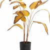 Parlane Ornament in pot STRELITZIA goud-bruin+zwart - Ø110 cm