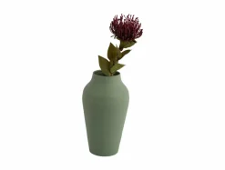 Present Time Vaas Boaz Cone breed jungle groen