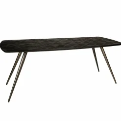 PTMD Eettafel Fieron Acacia zwart ovaal 200 cm