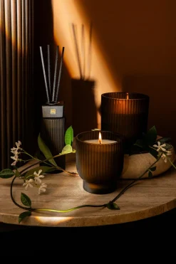 PTMD Geurstokjes New Elements woody bouquet