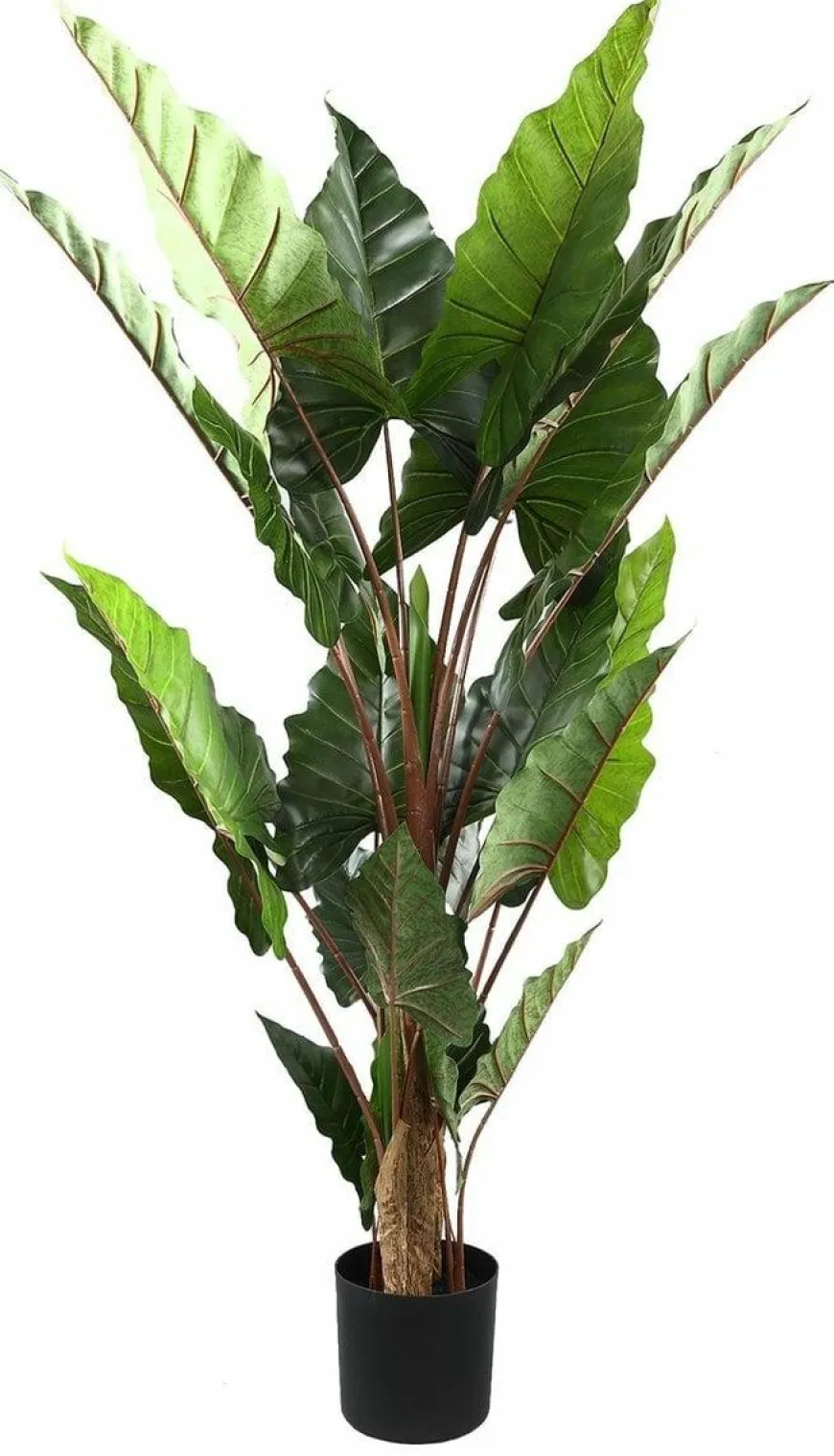 PTMD Kunstplant groen blad in zwarte pot - 170 cm hoog