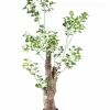 PTMD Kunstplant Groen Triangularis in pot 180cm