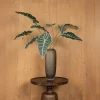 PTMD Kunsttak Groen Alocasia bladeren