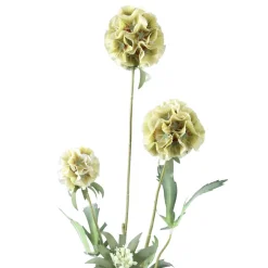 PTMD Kunsttak Groen Scabiosa