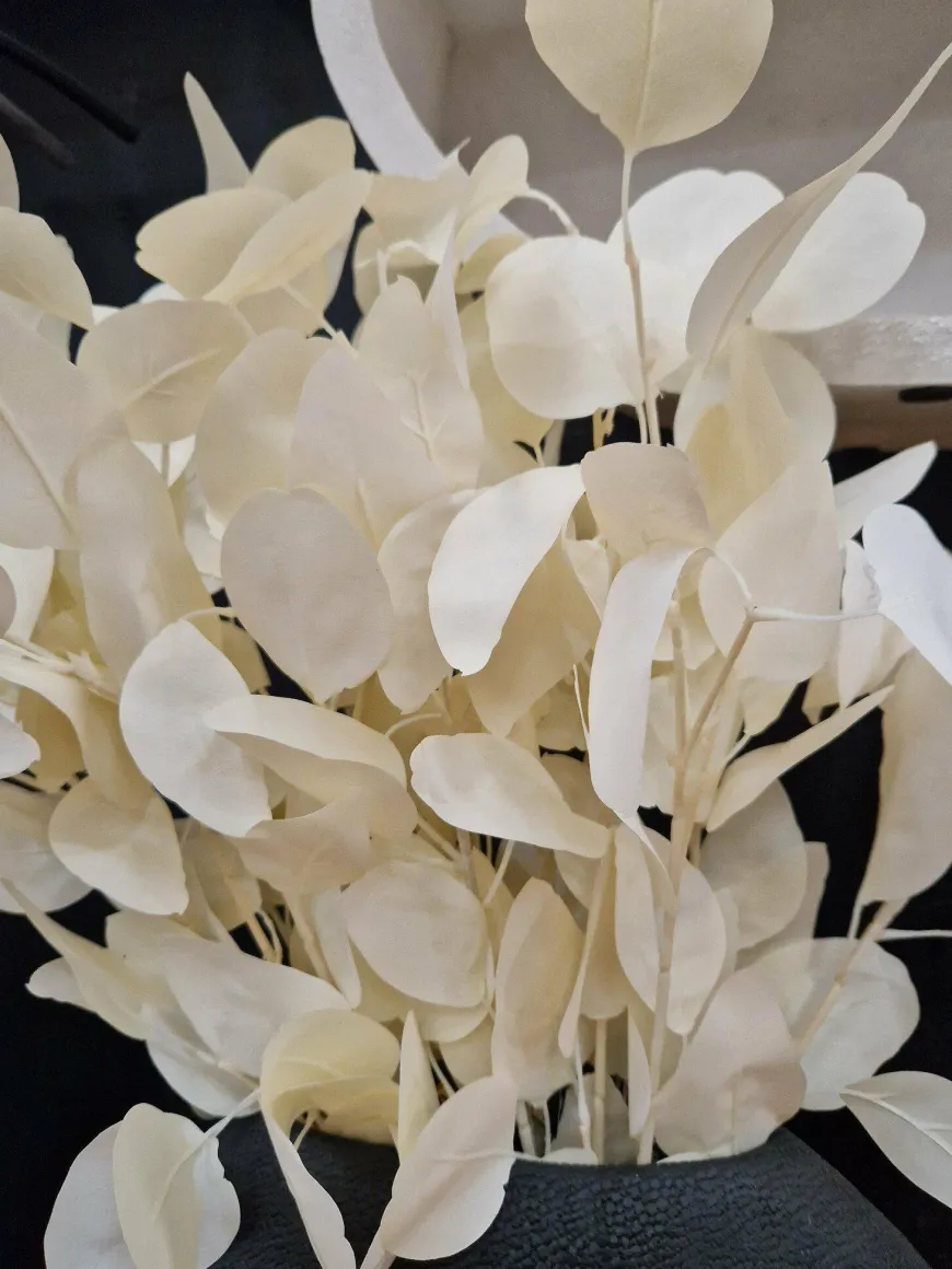 PTMD Kunsttak Leaves Plant eucalyptus creme