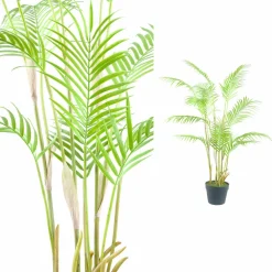 PTMD Palmboom groen in zwarte plastic pot - 148 cm hoog