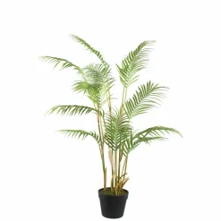 PTMD Palmboom groen in zwarte plastic pot - 148 cm hoog