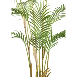 PTMD Palmboom groen in zwarte plastic pot - 148 cm hoog