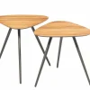 PTMD Salontafel set Rupert Naturel recycled teak