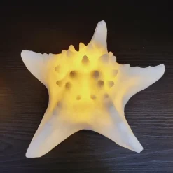 PTMD Tafellamp Graeme Wit Zeester sea star shaped LED lamp S