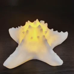 PTMD Tafellamp Graeme Wit Zeester sea star shaped LED lamp S