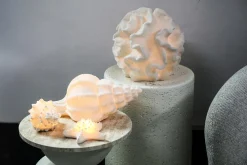 PTMD Tafellamp Graeme Wit Zeester sea star shaped LED lamp S