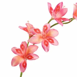 Pure Kunsttak zwaardlelie roze 95 cm