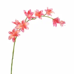 Pure Kunsttak zwaardlelie roze 95 cm
