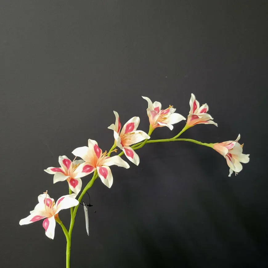Pure Kunsttak zwaardlelie peach 95 cm