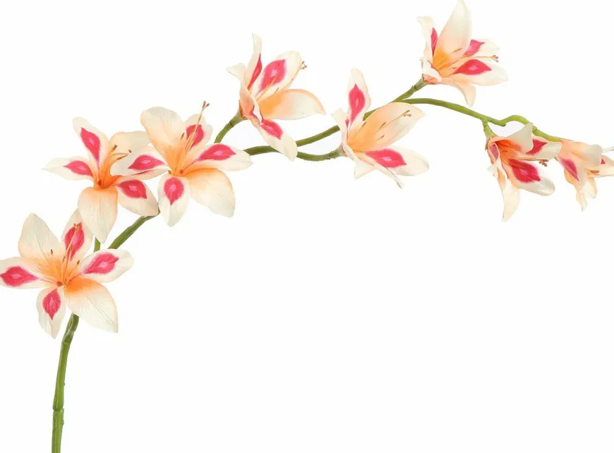 Pure Kunsttak zwaardlelie peach 95 cm