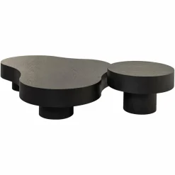 Richmond Interiors Salontafel Bogor set van 2 dark coffee Dark coffee