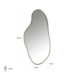 Richmond Interiors Spiegel Alton (Brushed Gold)