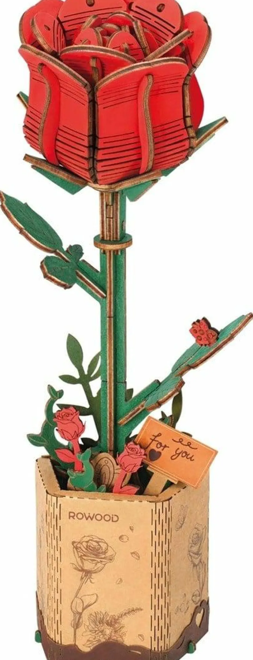 Robotime Houten Bouwpakket Red Rose