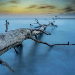 Wandkraft Art of Nature 041