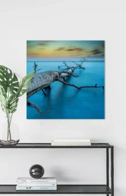 Wandkraft Art of Nature 041
