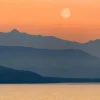 Wandkraft Art of Nature 045