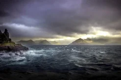 Wandkraft Art of Nature 018
