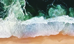 Wandkraft Art of Nature 011