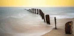 Wandkraft Art of Nature 040