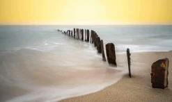 Wandkraft Art of Nature 040