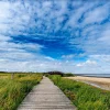 Wandkraft Art of Nature 044