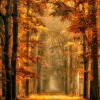 Wandkraft Art of Nature 033 - Limited edition