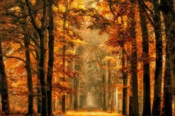 Wandkraft Art of Nature 033 - Limited edition