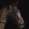 Wandkraft At the Farm 001