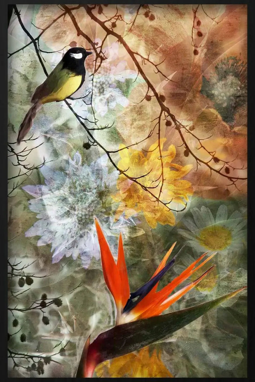 Wandkraft Bird Of Paradise