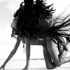 Wandkraft Black Swan