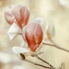 Wandkraft Blooming Hearts