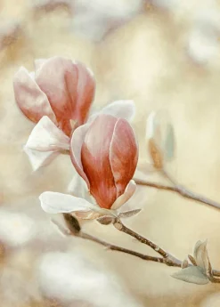 Wandkraft Blooming Hearts