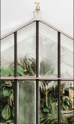 Wandkraft Botanical Stories 012